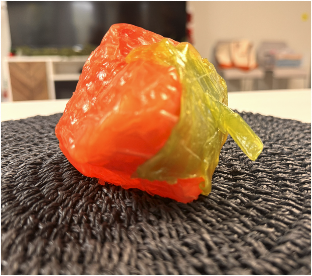 Rice Paper Art Workshop Persimmon