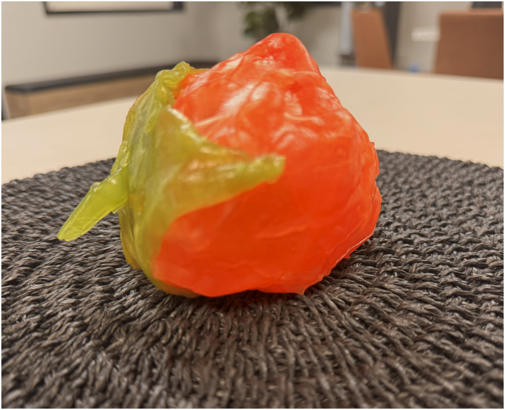 Rice Paper Art Workshop Persimmon 2